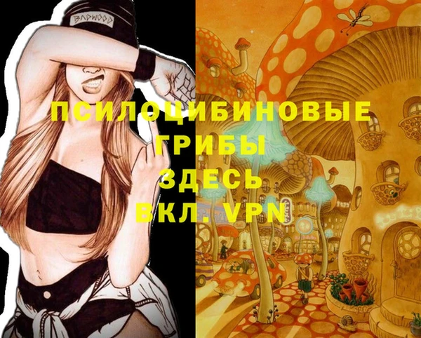 МДПВ Беломорск
