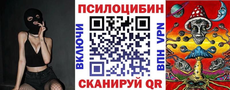 сайты даркнета как зайти Сухиничи блэк спрут онион Псилоцибиновые грибы прущие грибы что такое