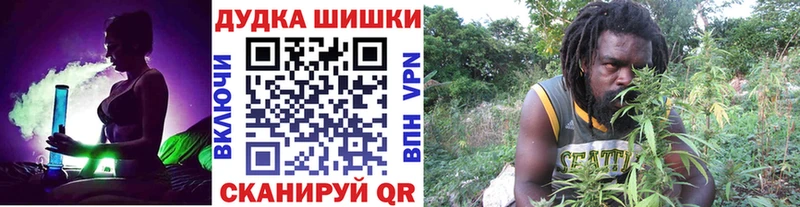 Бошки Шишки семена закладка Сухиничи